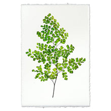 Load image into Gallery viewer, EW Print