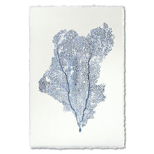 Load image into Gallery viewer, EW Print