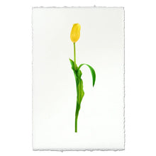 Load image into Gallery viewer, EW Print