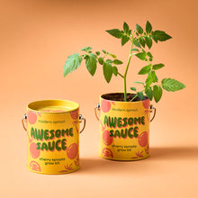Load image into Gallery viewer, Color Grow Kits