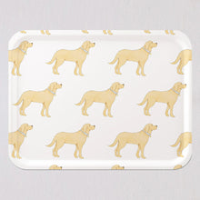 Load image into Gallery viewer, Sara Fitz Tray