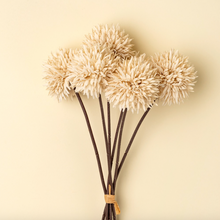 Load image into Gallery viewer, Mini Allium Bouquet, Cream