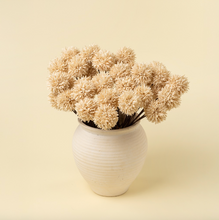 Load image into Gallery viewer, Mini Allium Bouquet, Cream