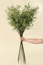 Load image into Gallery viewer, Butterfly Eucalyptus Branch
