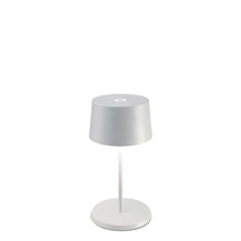 Load image into Gallery viewer, Olivia Mini Lamp
