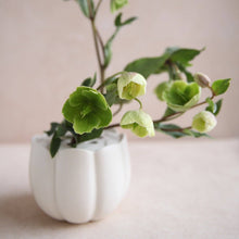 Load image into Gallery viewer, The Floral Society Flower Frog Vase

