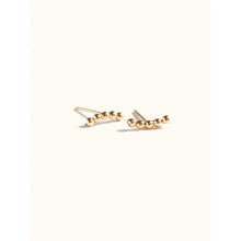 Load image into Gallery viewer, Caesar Stud Earring
