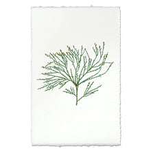 Load image into Gallery viewer, EW Print
