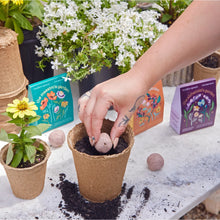 Load image into Gallery viewer, Bespoke Blooms Kits
