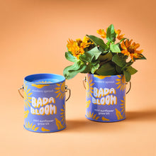Load image into Gallery viewer, Color Grow Kits
