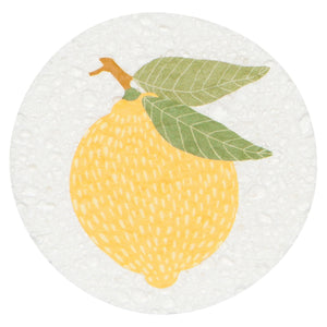 Compostable Sponge