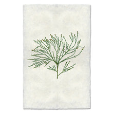 Load image into Gallery viewer, NepH Print
