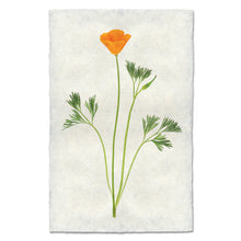 Load image into Gallery viewer, NepH Print
