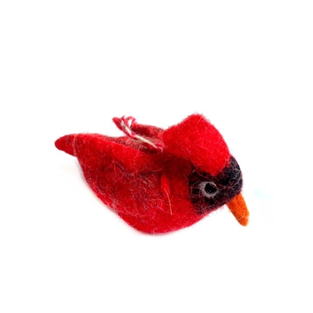 O4O Cardinal