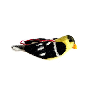 O4O Goldfinch
