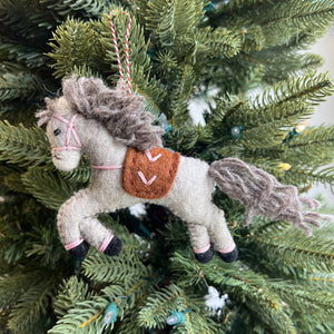 O4O Pony