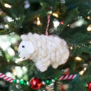 O4O Sheep