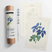 Load image into Gallery viewer, Paint By Numbers
