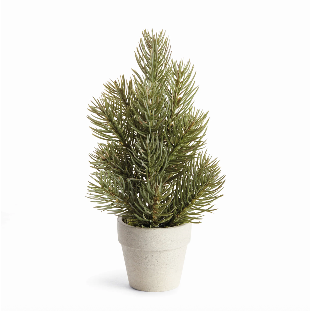 Mini Pine Tree