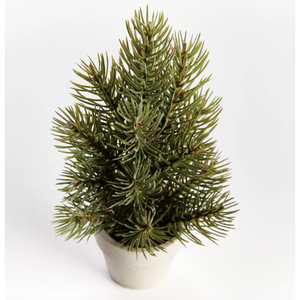 Mini Pine Tree