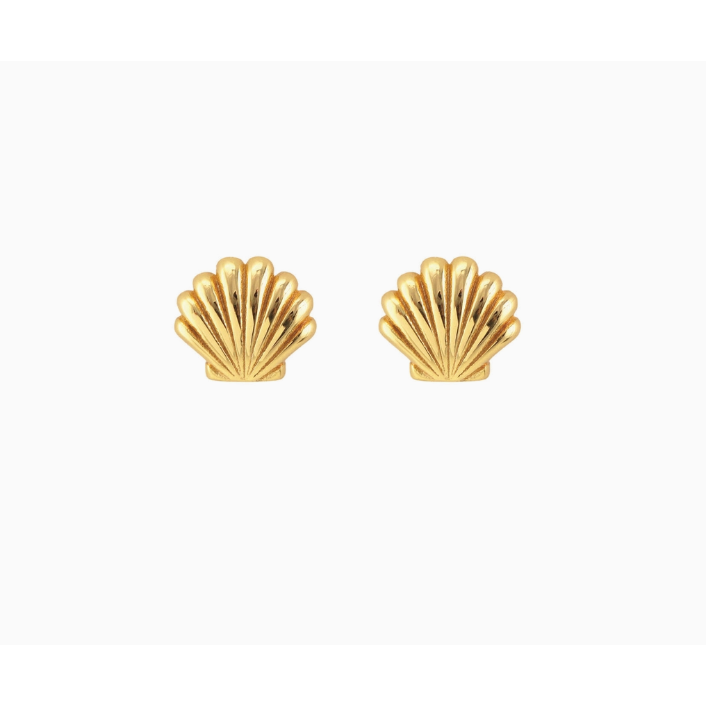Seashell Stud Earring