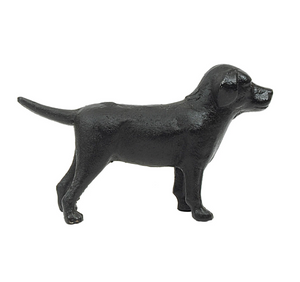 Cast Iron Lab