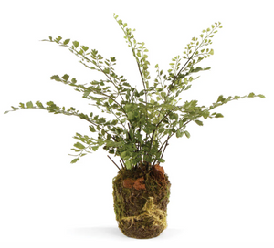 Plant Drop-Ins