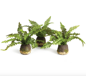 Plant Drop-Ins