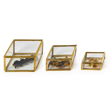 Load image into Gallery viewer, Brass + Glass Trinket Box
