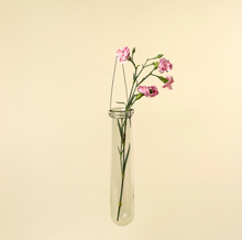 Load image into Gallery viewer, Hanging Tube Vases
