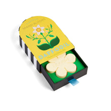 Load image into Gallery viewer, Skandi Soap
