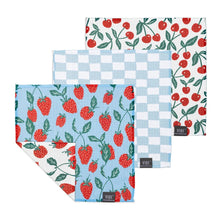 Load image into Gallery viewer, Vibe Dish Cloth Set
