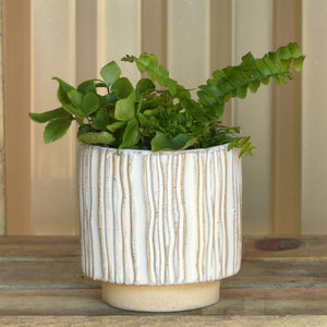 Cachepot